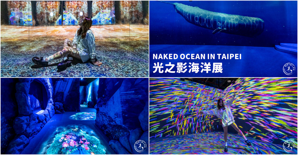 台北展覽|NAKED OCEAN IN TAIPEI 光之影海洋展|沉浸式海底探險 一窺神秘深海世界(展期.門票.周邊商品)