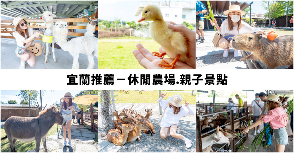 宜蘭農場懶人包|親子最愛的小動物休閒景點.體驗餵養梅花鹿、水豚、羊駝等 快收進口袋排名中！