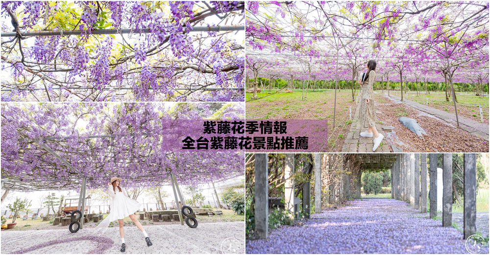 全台北中南 紫藤花季|11個紫藤花景點行程推薦