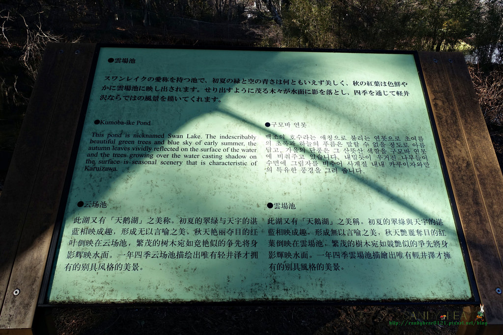 輕井澤景點》雲場池 夢幻天鵝湖 輕井澤山中祕境 - 第6張圖 DSC07548
