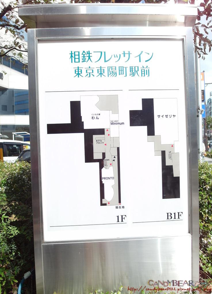 117.jpg