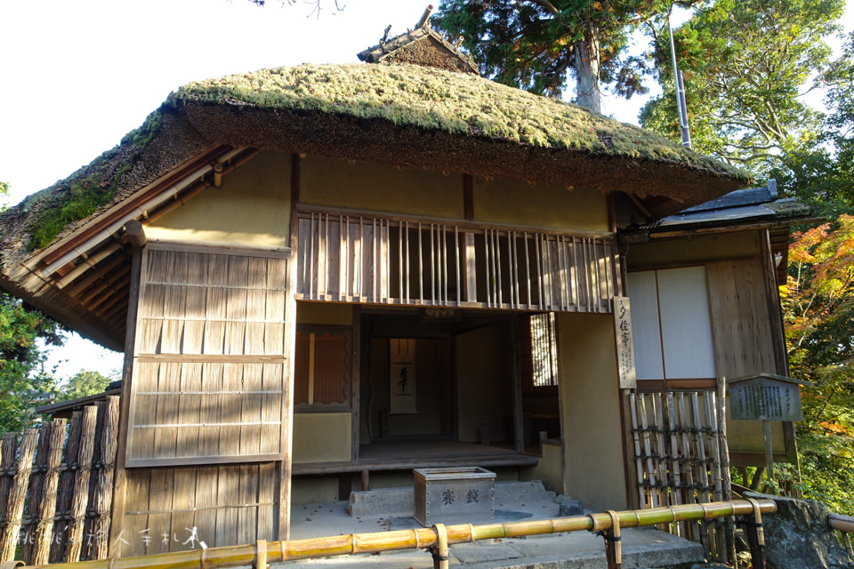 京都景點》金閣寺賞楓 | 交通方式、票價資訊分享