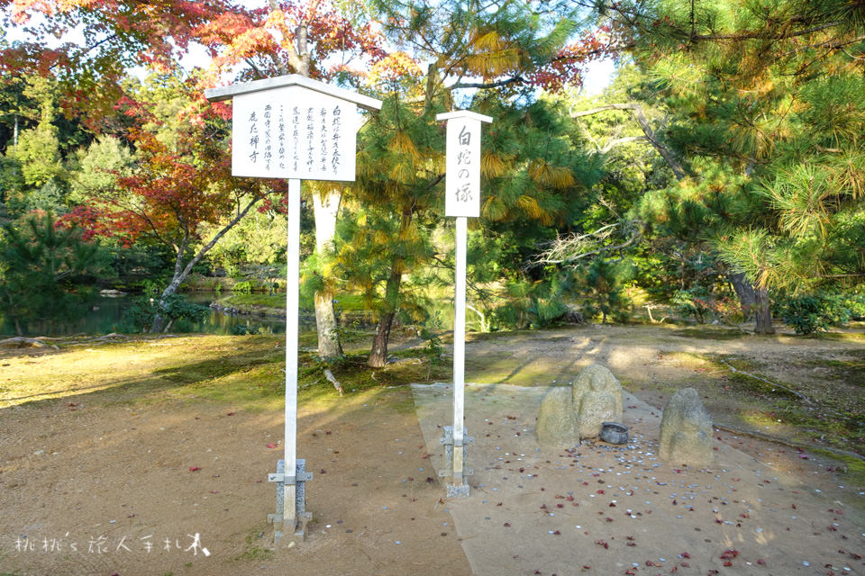 京都景點》金閣寺賞楓 | 交通方式、票價資訊分享