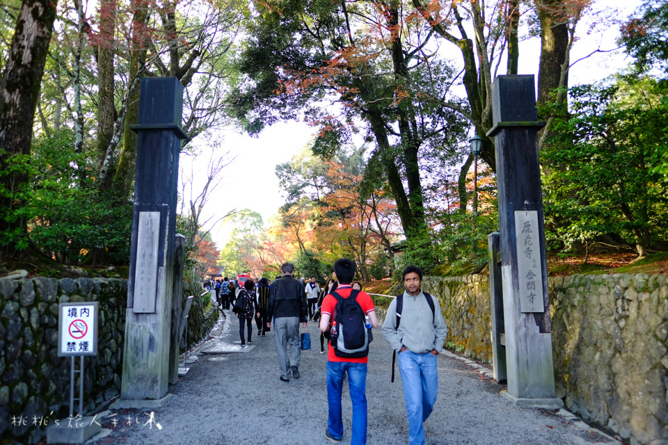 京都景點》金閣寺賞楓 | 交通方式、票價資訊分享