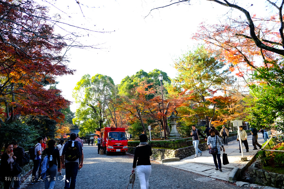 京都景點》金閣寺賞楓 | 交通方式、票價資訊分享