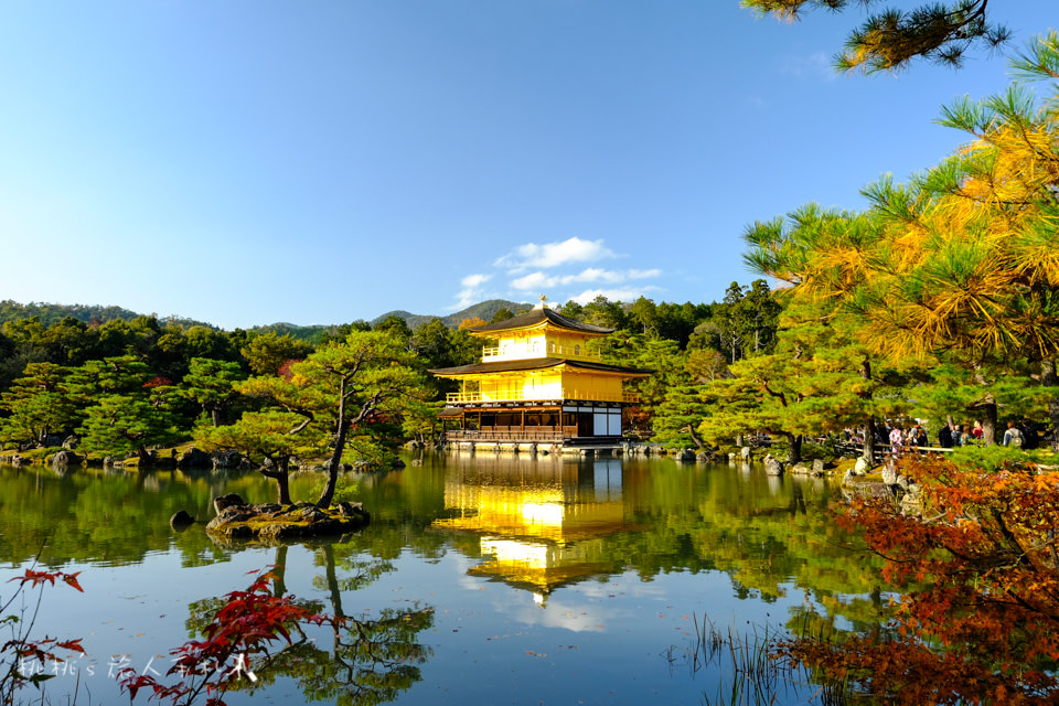 京都景點》金閣寺賞楓 | 交通方式、票價資訊分享