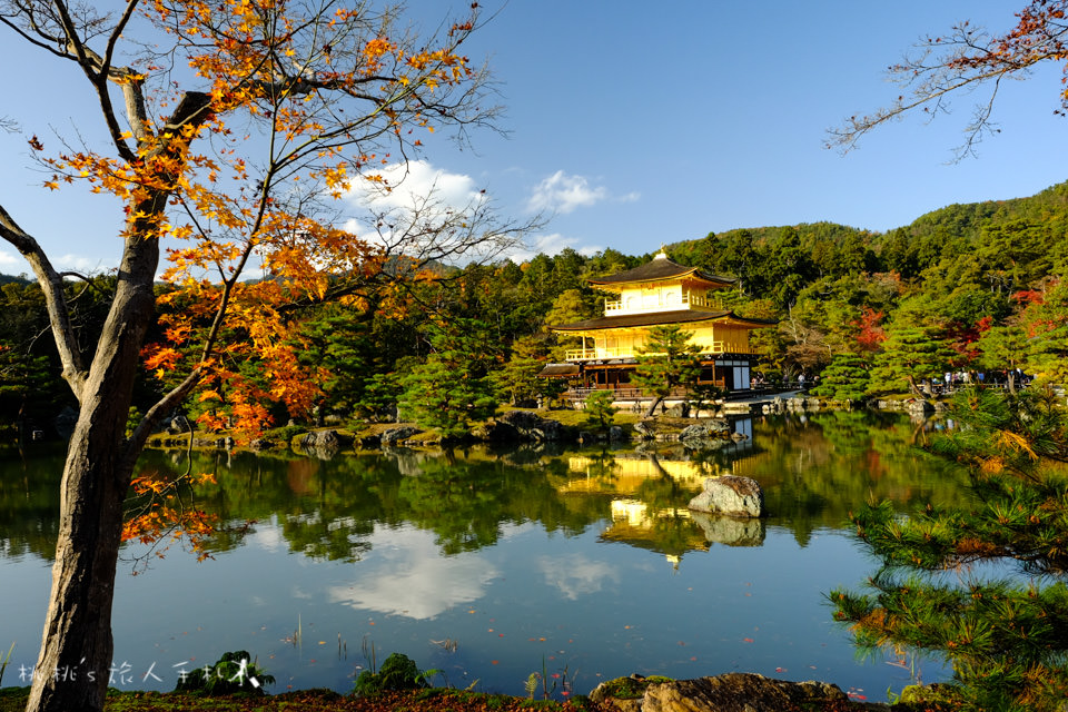 京都景點》金閣寺賞楓 | 交通方式、票價資訊分享