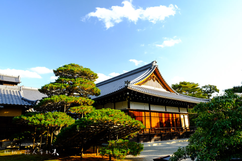 京都景點》金閣寺賞楓 | 交通方式、票價資訊分享