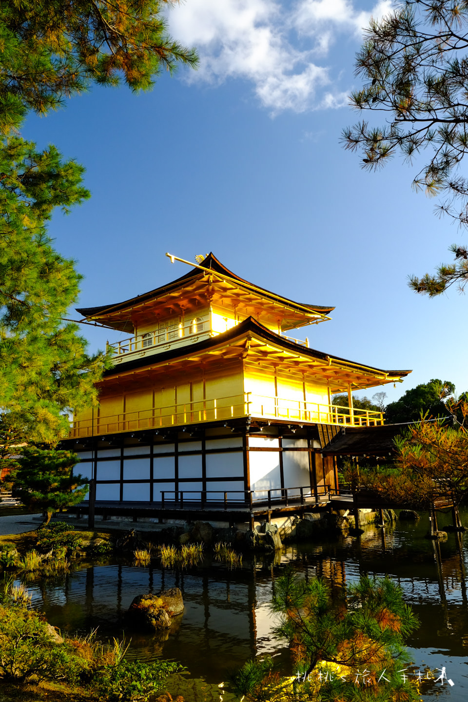 京都景點》金閣寺賞楓 | 交通方式、票價資訊分享