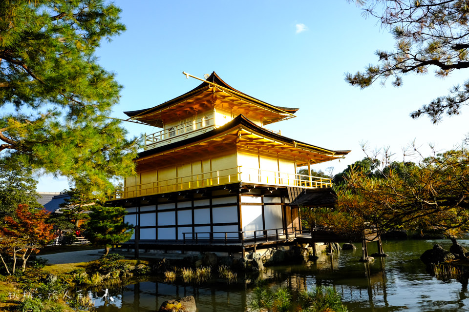 京都景點》金閣寺賞楓 | 交通方式、票價資訊分享