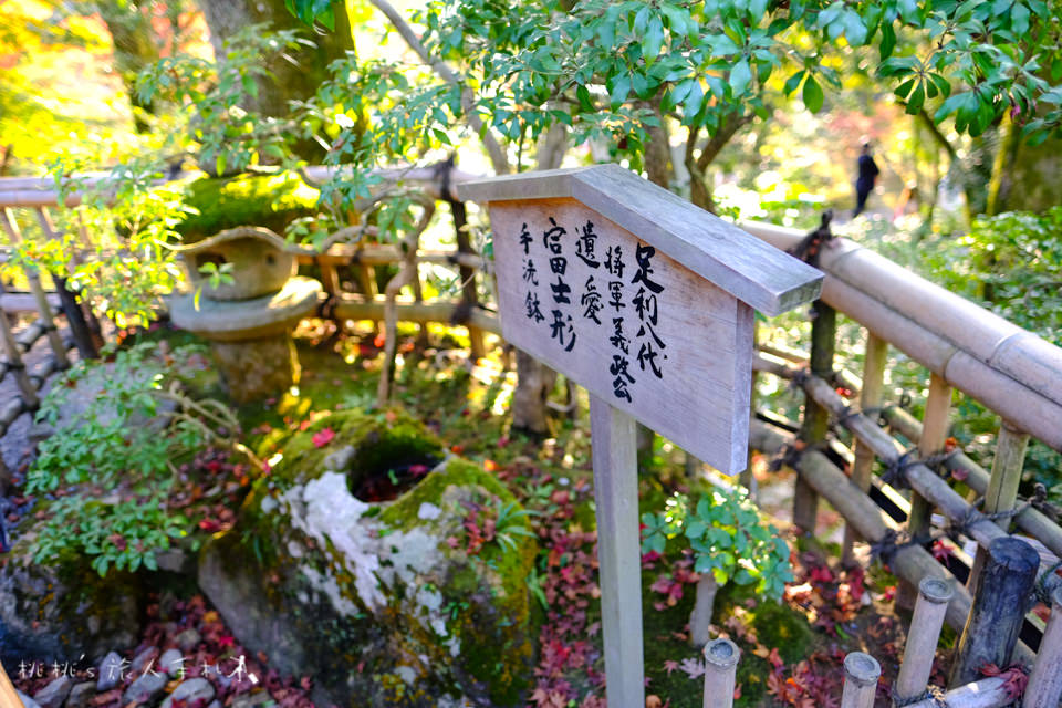 京都景點》金閣寺賞楓 | 交通方式、票價資訊分享