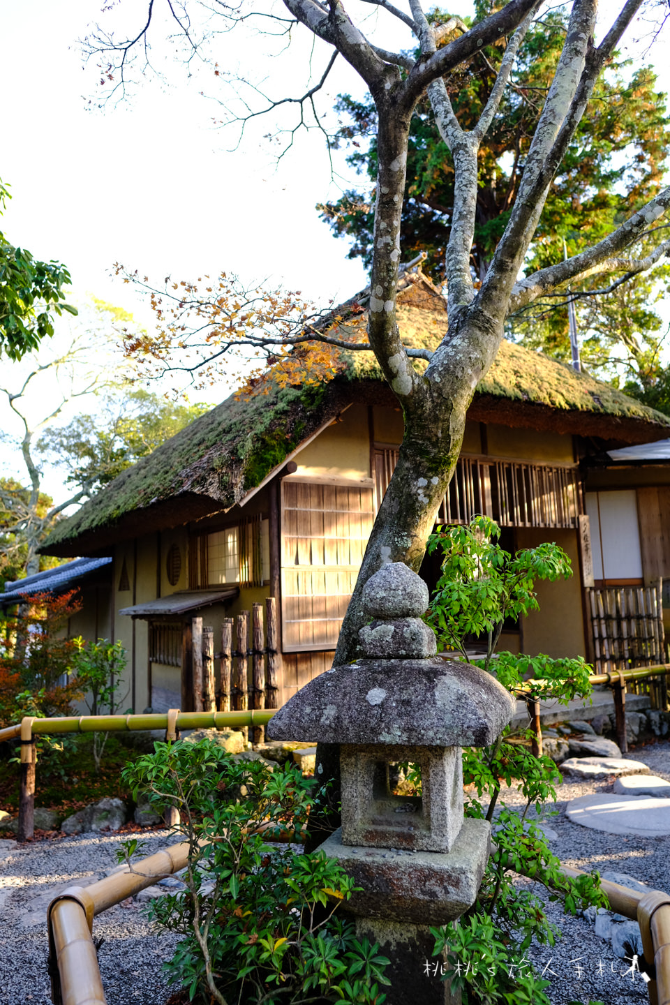 京都景點》金閣寺賞楓 | 交通方式、票價資訊分享