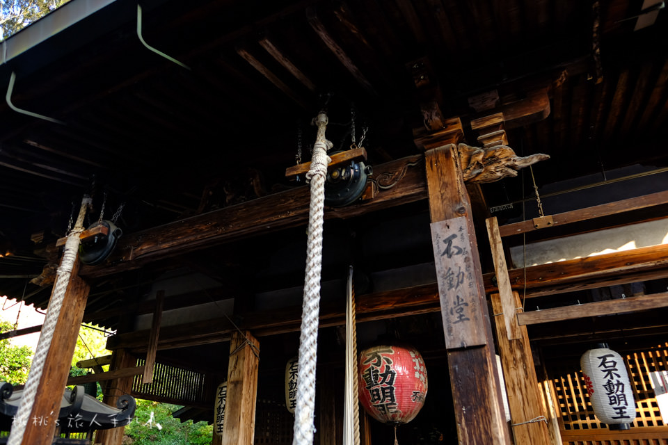 京都景點》金閣寺賞楓 | 交通方式、票價資訊分享