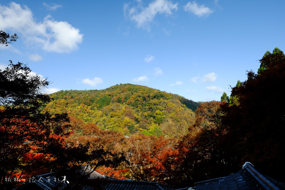 京都賞楓》八瀬瑠璃光院│一年只開放兩次，楓葉美景令人驚艷