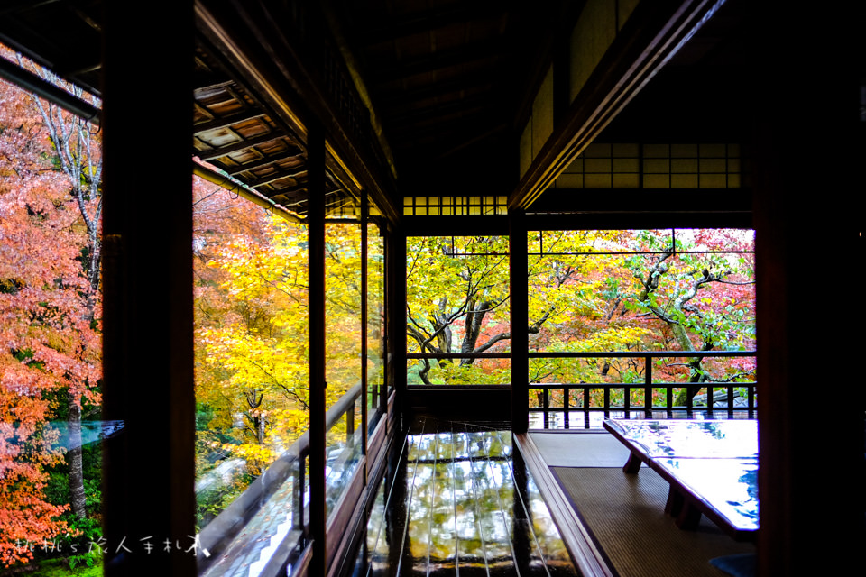 京都賞楓》八瀬瑠璃光院│一年只開放兩次，楓葉美景令人驚艷