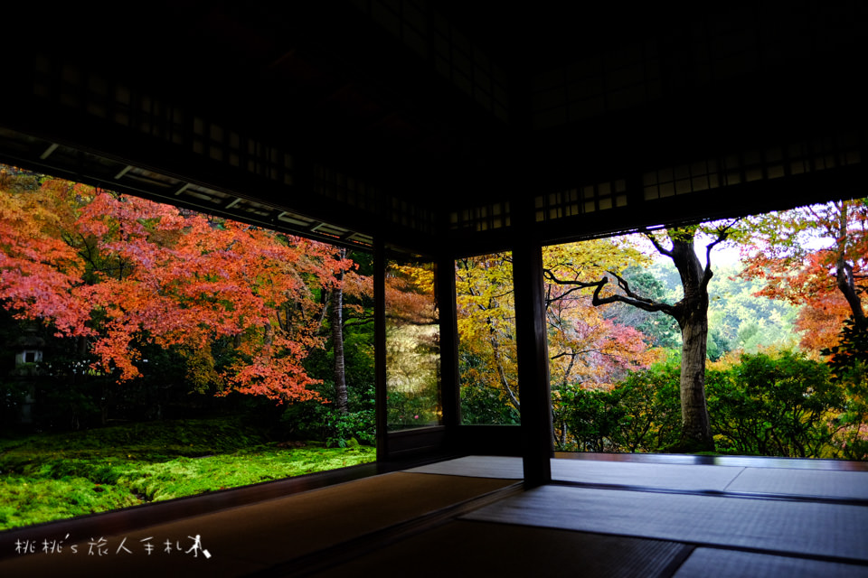 京都賞楓》八瀬瑠璃光院│一年只開放兩次，楓葉美景令人驚艷