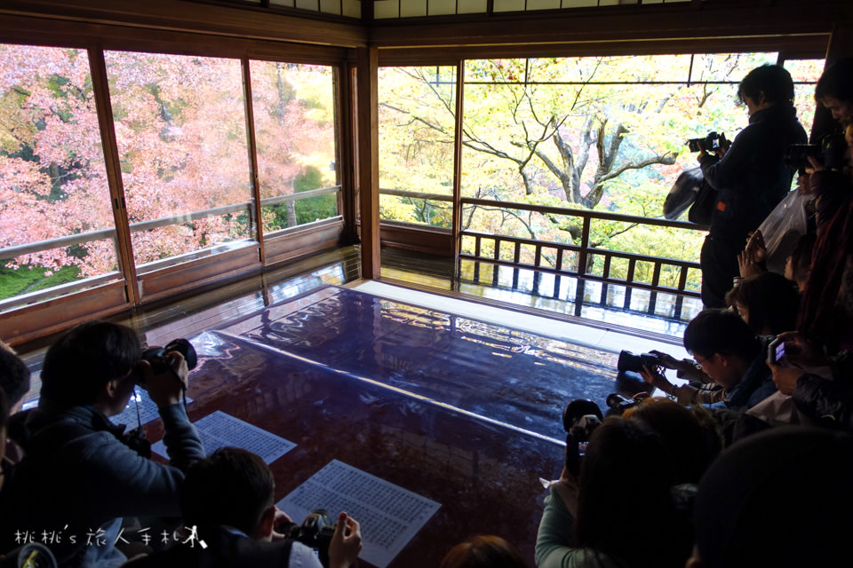 京都賞楓》八瀬瑠璃光院│一年只開放兩次，楓葉美景令人驚艷