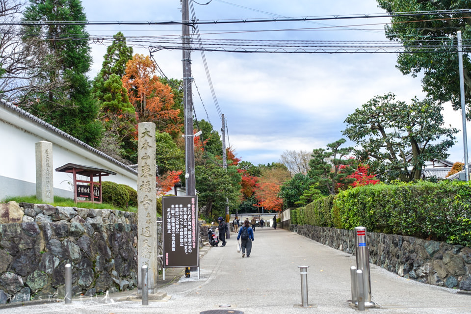 京都賞楓》東福寺楓葉美景│隱藏版紅葉景點 遙望通天橋