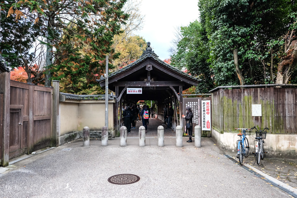 京都賞楓》東福寺楓葉美景│隱藏版紅葉景點 遙望通天橋