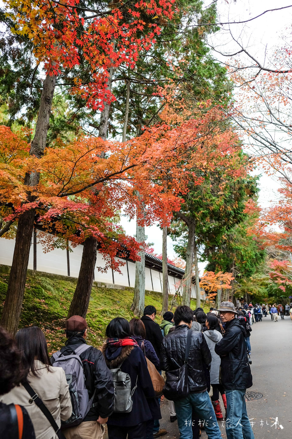 京都賞楓》東福寺楓葉美景│隱藏版紅葉景點 遙望通天橋