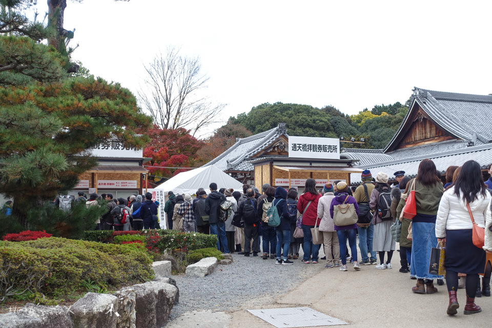 京都賞楓》東福寺楓葉美景│隱藏版紅葉景點 遙望通天橋