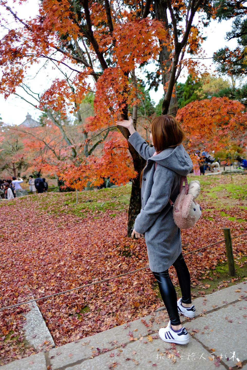 京都賞楓》東福寺楓葉美景│隱藏版紅葉景點 遙望通天橋