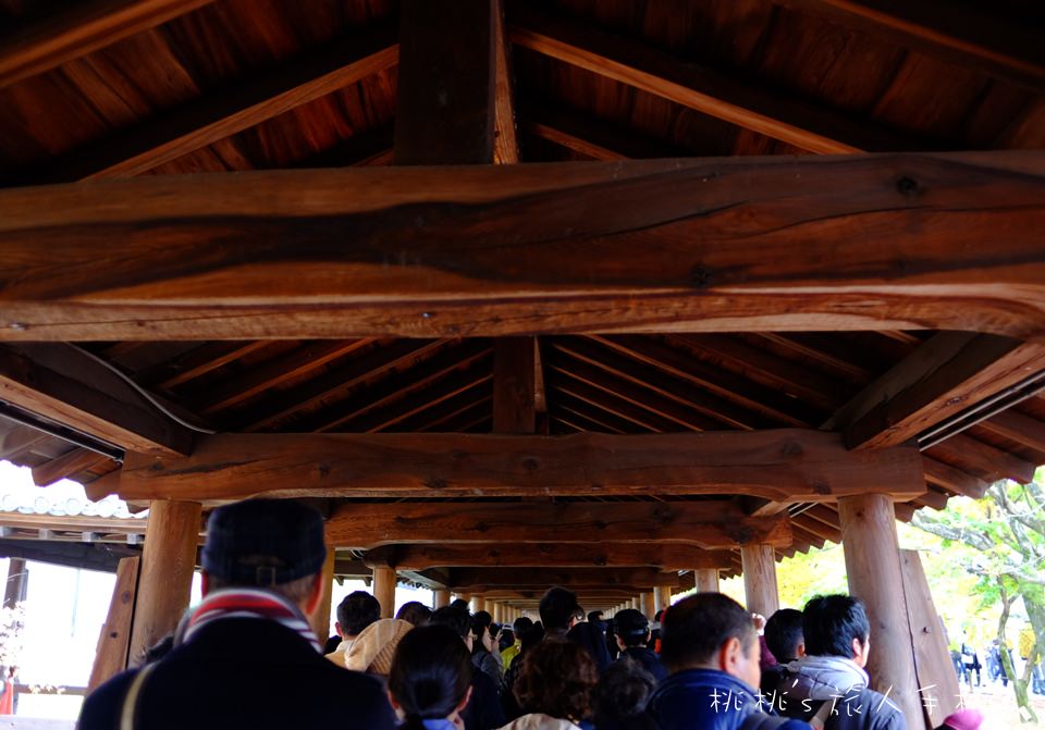 京都賞楓》東福寺楓葉美景│隱藏版紅葉景點 遙望通天橋