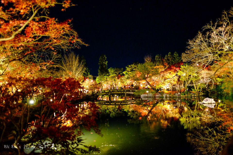 京都賞楓》永觀堂夜楓│賞楓不是白天的專利，紅葉夜晚也美麗