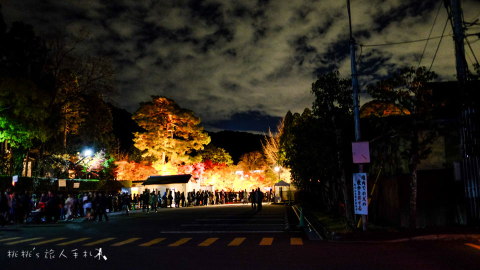 京都賞楓》永觀堂夜楓│賞楓不是白天的專利，紅葉夜晚也美麗