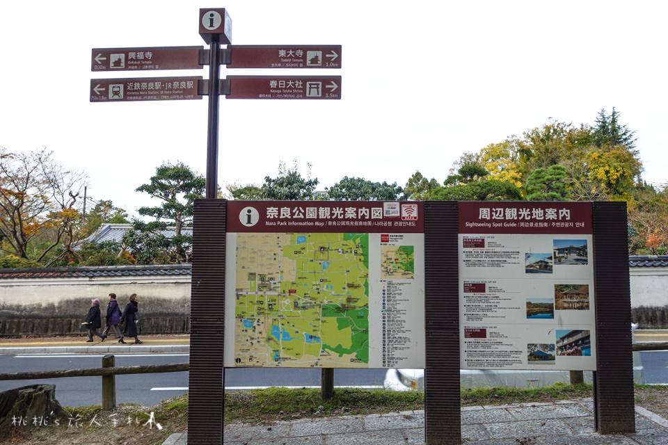 奈良景點》奈良公園尋找小鹿│餵小鹿吃鹿仙貝還可以賞楓！