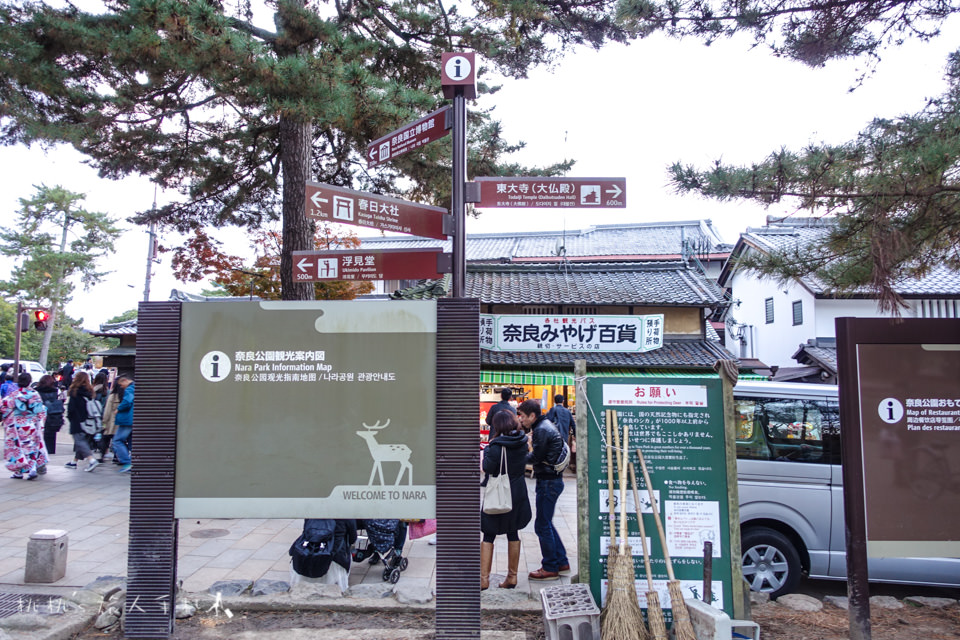 奈良景點》奈良公園尋找小鹿│餵小鹿吃鹿仙貝還可以賞楓！