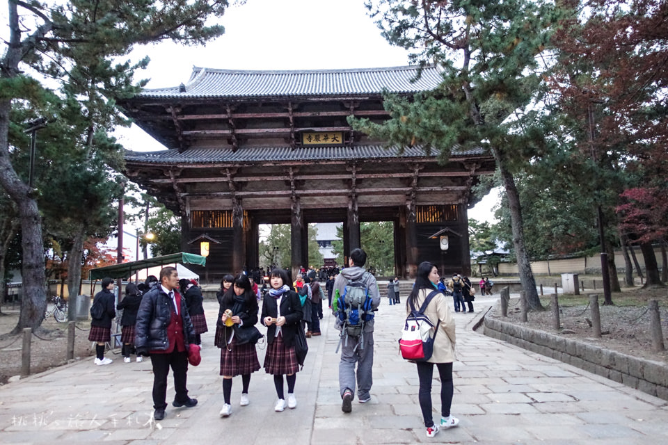 奈良景點》奈良公園尋找小鹿│餵小鹿吃鹿仙貝還可以賞楓！