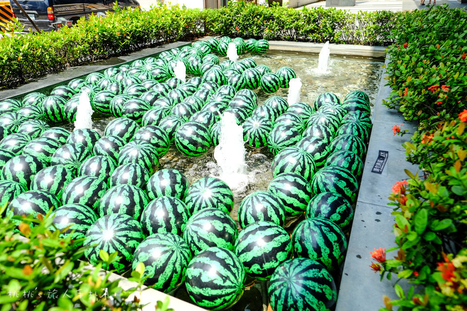 IG打卡景點》台中金典綠園道 綠圈圈小玉西瓜│黃色果肉消暑又療癒～