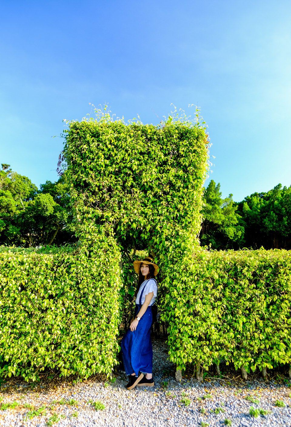 IG打卡景點》被遺忘的花博公園 園區祕境│迷宮花園.舞蝶館.玻璃金字塔.花之隧道 美麗再現!!!