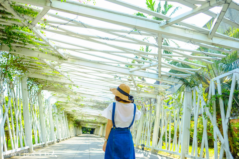 IG打卡景點》被遺忘的花博公園 園區祕境│迷宮花園.舞蝶館.玻璃金字塔.花之隧道 美麗再現!!!