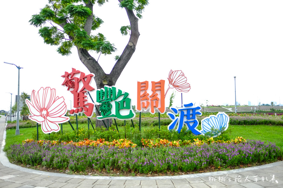 IG打卡祕境》驚艷關渡花現新大地 2017關渡花海節│一望無際花海山丘原來在這裡！