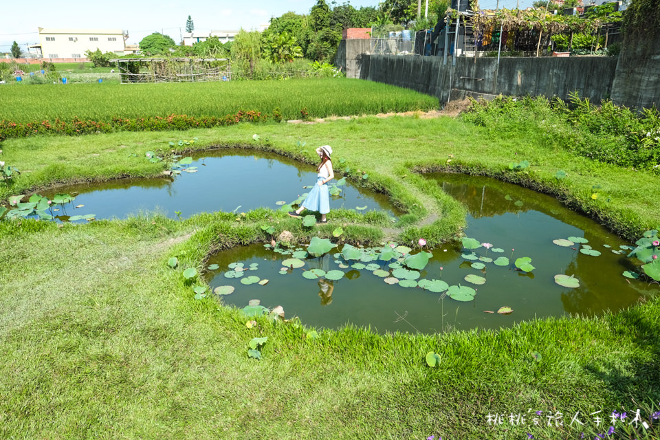 IG打卡景點》彰化大村 雙心池塘│平和社區農村樂活半日遊