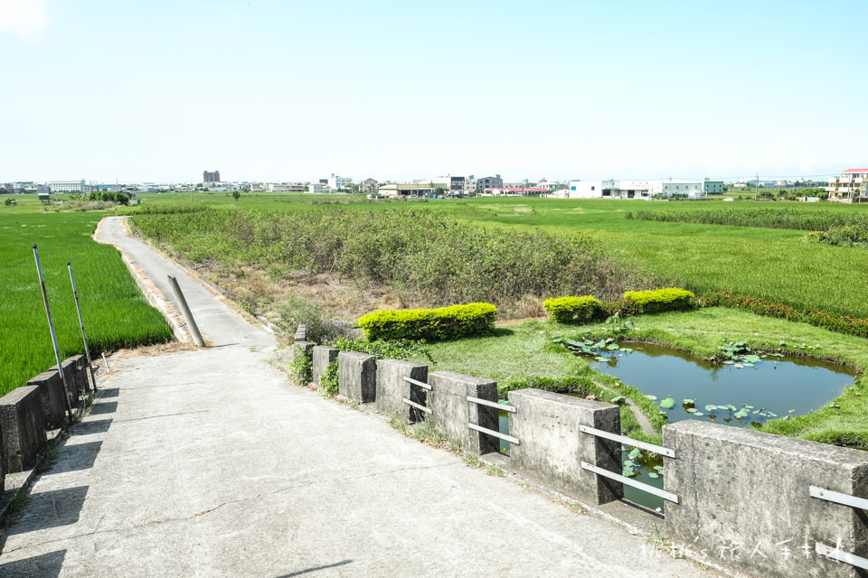 IG打卡景點》彰化大村 雙心池塘│平和社區農村樂活半日遊