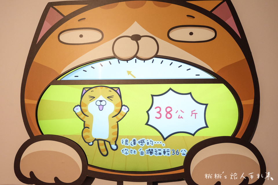 展覽》白爛貓超有事特展│LINE貼圖走出螢幕 立體化超萌貓咪在松山文創