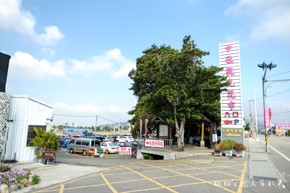 中社觀光花市》鬱金香花海 台中花毯節附近景點這裡最強