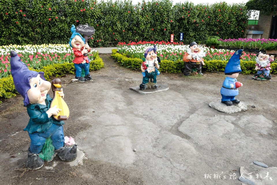 中社觀光花市》鬱金香花海 台中花毯節附近景點這裡最強