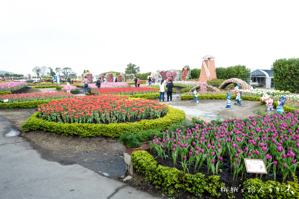 中社觀光花市》鬱金香花海 台中花毯節附近景點這裡最強