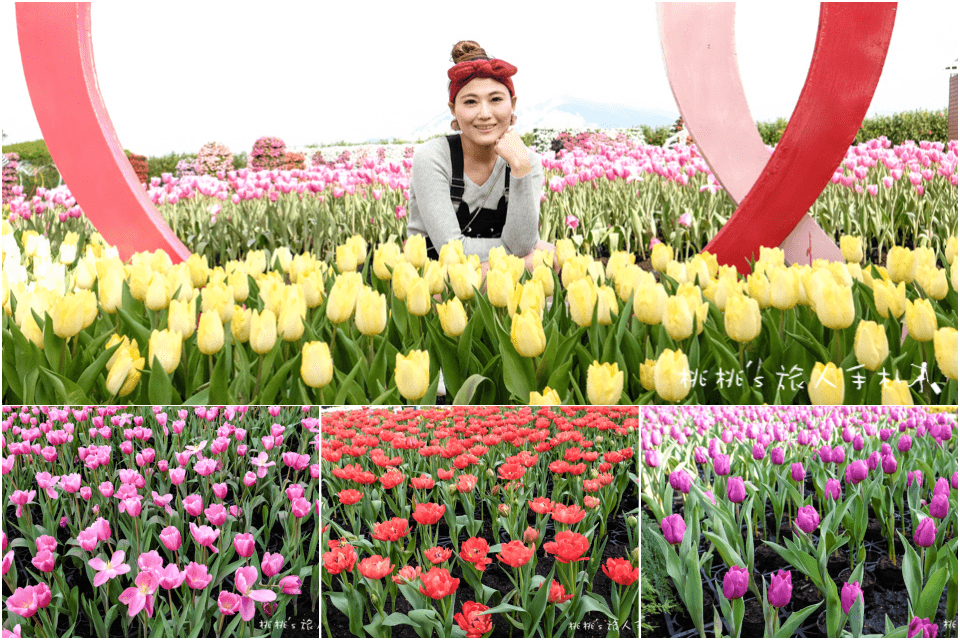 中社觀光花市》鬱金香花海 台中花毯節附近景點這裡最強