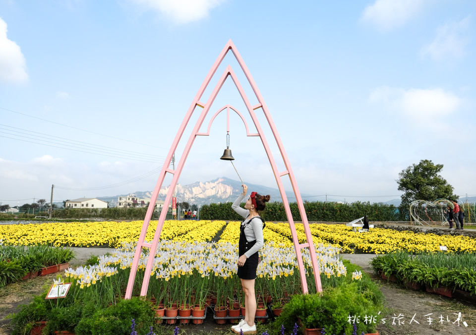 中社觀光花市》鬱金香花海 台中花毯節附近景點這裡最強