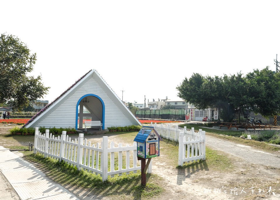 中社觀光花市》鬱金香花海 台中花毯節附近景點這裡最強