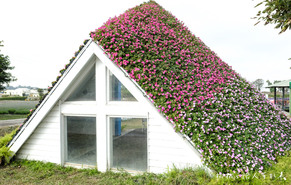 中社觀光花市》鬱金香花海 台中花毯節附近景點這裡最強