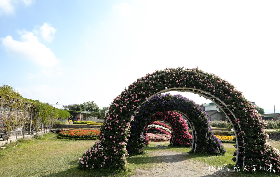 中社觀光花市》鬱金香花海 台中花毯節附近景點這裡最強