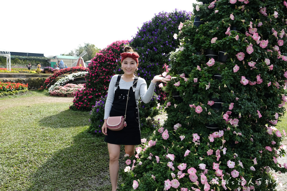 中社觀光花市》鬱金香花海 台中花毯節附近景點這裡最強
