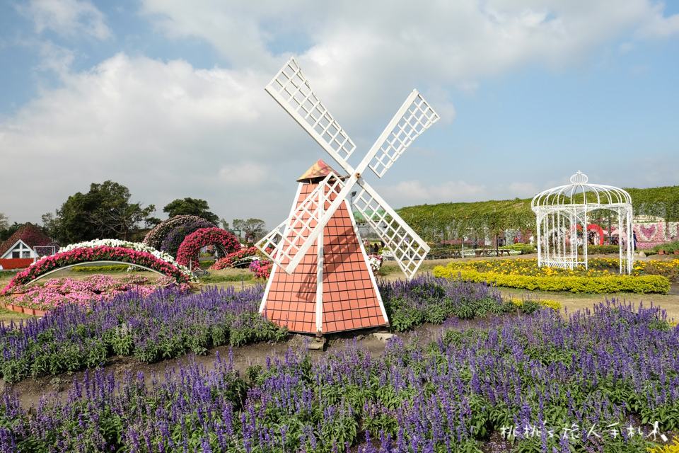 中社觀光花市》鬱金香花海 台中花毯節附近景點這裡最強