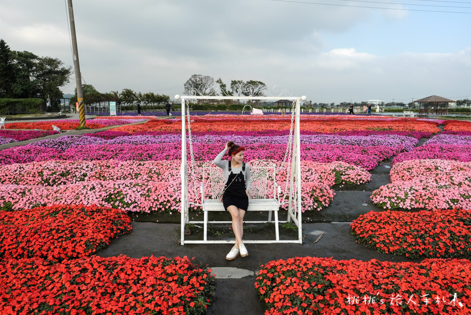中社觀光花市》鬱金香花海 台中花毯節附近景點這裡最強